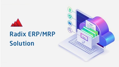 Radix ERP/MRP Solution